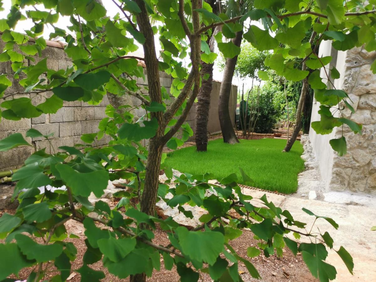 Ginko House Leilighet Opatija Eksteriør bilde