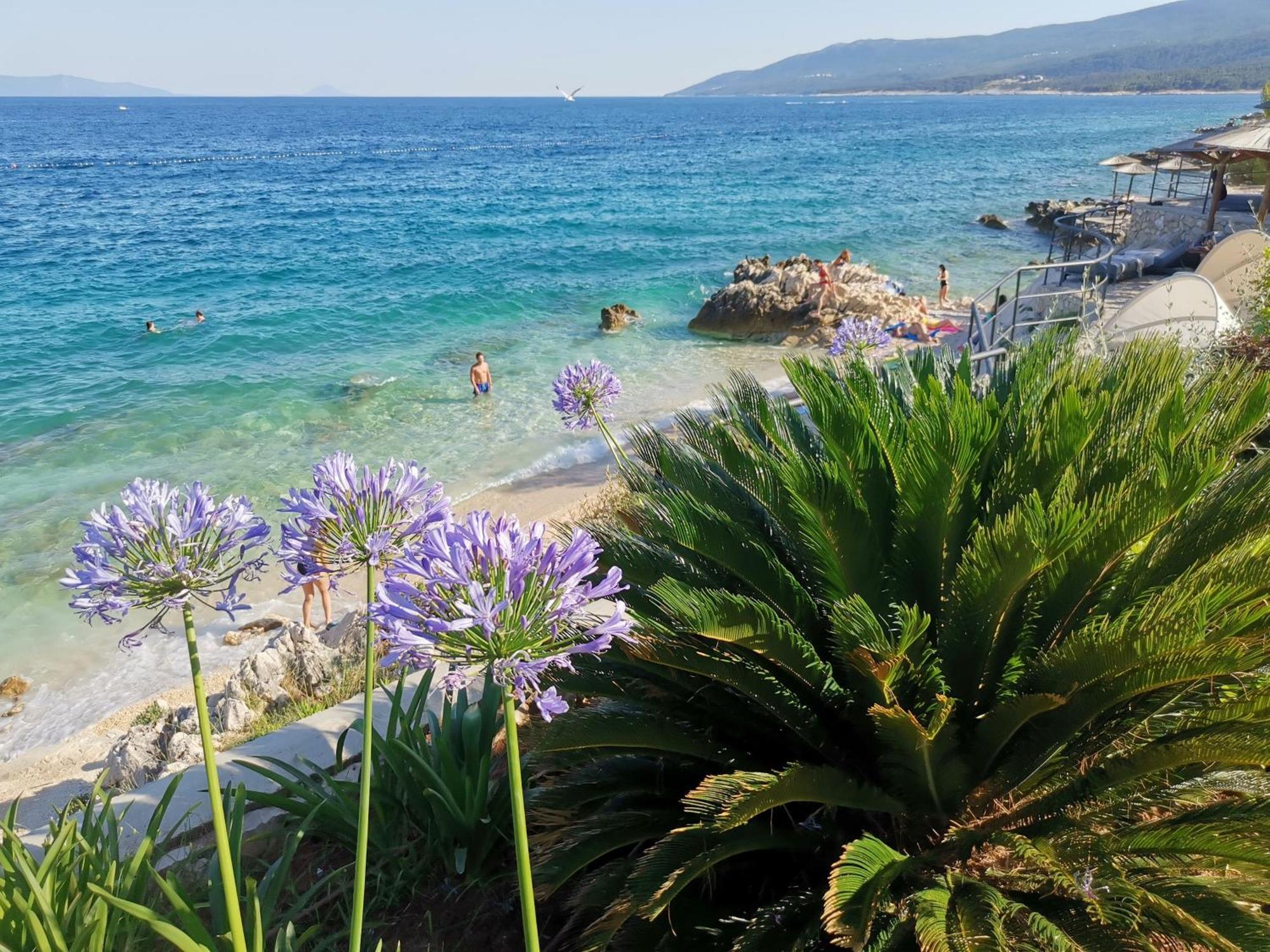 Ginko House Leilighet Opatija Eksteriør bilde